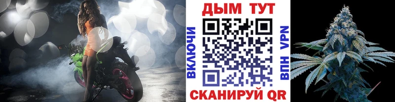 Где найти наркотики Закаменск Кокаин  Канабис  kraken зеркало  Галлюциногенные грибы  Мефедрон  ГАШИШ  Амфетамин 
