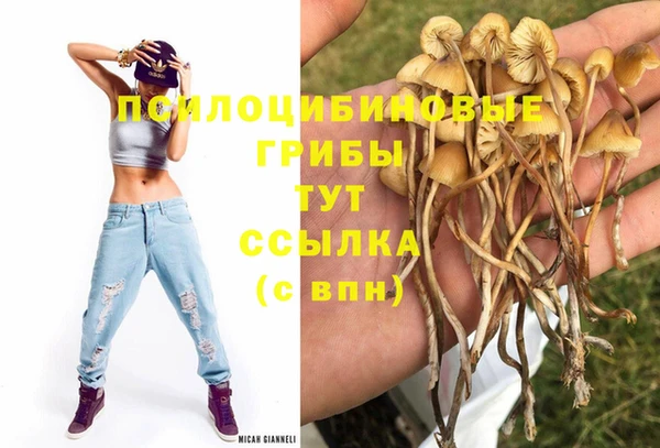 скорость Баксан